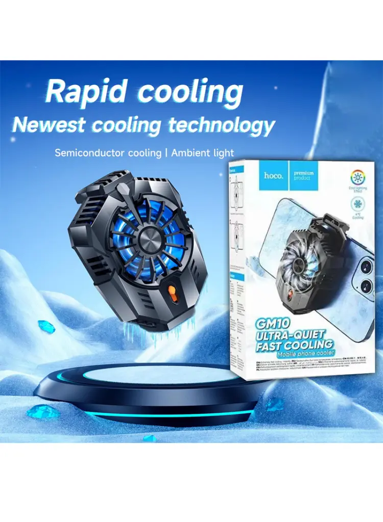 44-800x1091 (1).webp