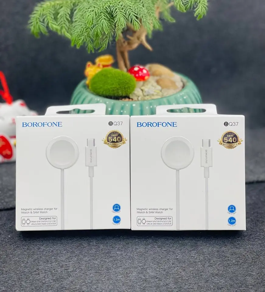 474750690_122126554538423272_6428857885232026856_n (1).webp