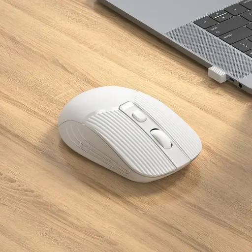 [BORO BG5 WHITE] Boro BG5 White